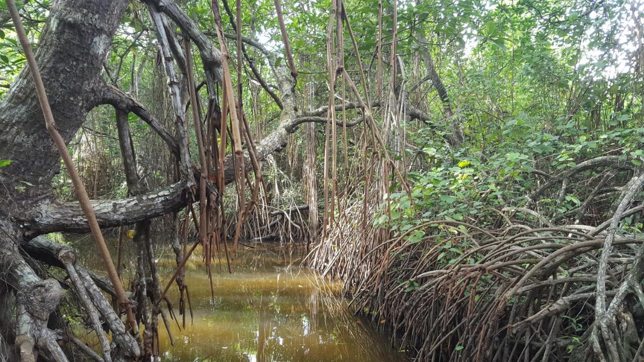 VILLA 826 Ahungalla Bagian luar foto